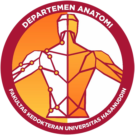Anatomi Learning